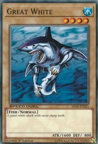 Great White #SBAD-EN021