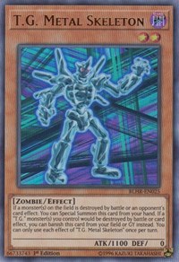 T.G. Metal Skeleton #BLHR-EN025