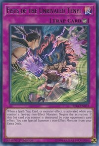 Fists of the Unrivaled Tenyi #RIRA-EN072