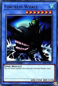 Fortress Whale #SBSC-EN015