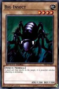 Big Insect #SS03-ENB03