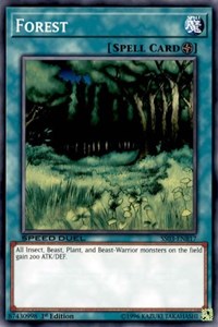 Forest #SS03-ENB17