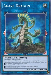 Agave Dragon #MP19-EN191