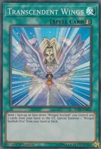 Transcendent Wings #AC19-EN022