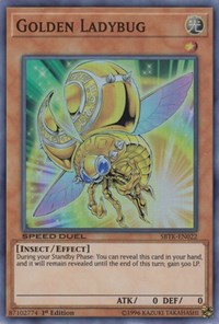 Golden Ladybug #SBTK-EN022