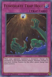 Floodgate Trap Hole #SBTK-EN046