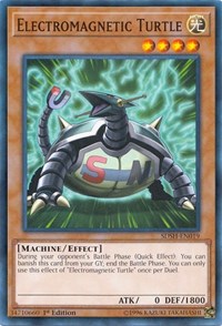 Electromagnetic Turtle #SDSH-EN019
