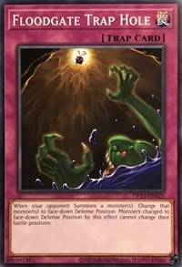 Floodgate Trap Hole #OP13-EN025