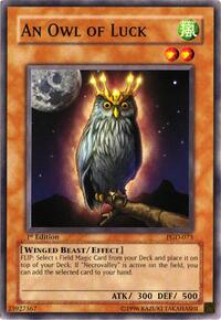 An Owl of Luck #PGD-073