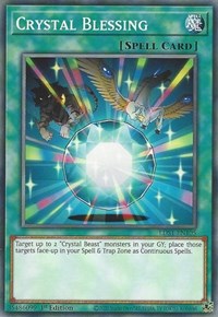 Crystal Blessing #LDS1-EN105
