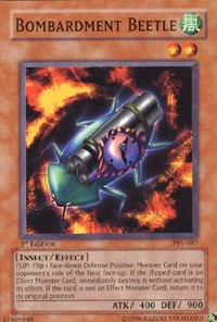 Bombardment Beetle #PSV-087