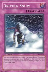 Driving Snow #PSV-018
