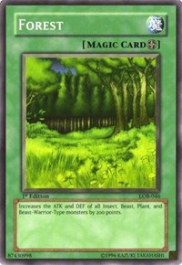 Forest #LOB-046