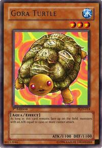 Gora Turtle #PGD-014