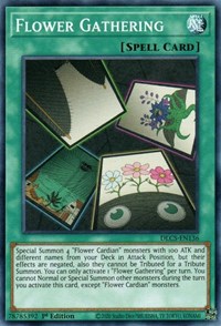 Flower Gathering #DLCS-EN136