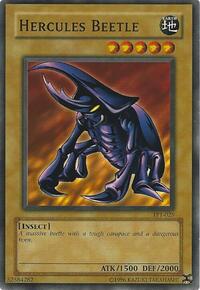 Hercules Beetle #TP1-025