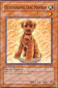 Outstanding Dog Marron #DCR-062