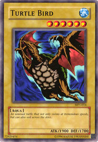 Turtle Bird #MP1-014