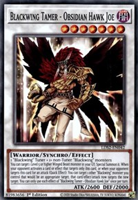 Blackwing Tamer - Obsidian Hawk Joe #LDS2-EN042