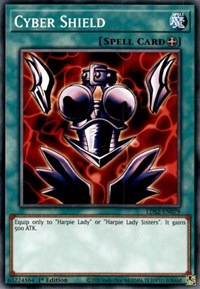 Cyber Shield #LDS2-EN079