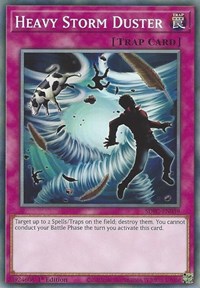 Heavy Storm Duster #SDFC-EN039
