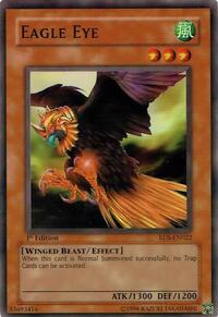 Eagle Eye #RDS-EN022