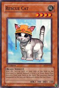 Rescue Cat #FET-EN033