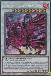 Ruddy Rose Dragon #LIOV-EN035