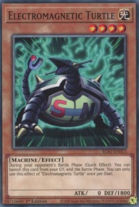 Electromagnetic Turtle #EGS1-EN013