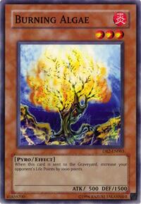 Burning Algae #DR2-EN063