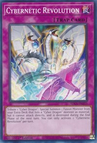 Cybernetic Revolution #SDCS-EN035