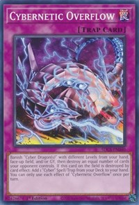 Cybernetic Overflow #SDCS-EN040