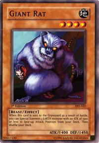 Giant Rat #SYE-020