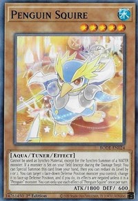 Penguin Squire #BODE-EN024