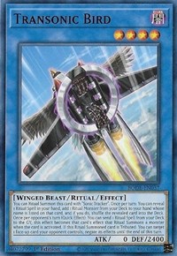 Transonic Bird #BODE-EN037