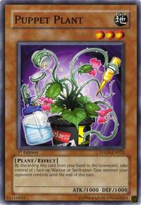 Puppet Plant #STON-EN022