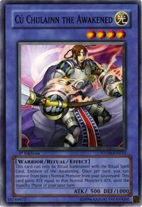 Cu Chulainn the Awakened #STON-EN033