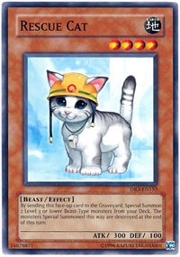 Rescue Cat #DR3-EN153