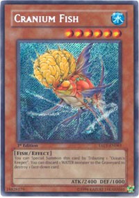 Cranium Fish #TAEV-EN083