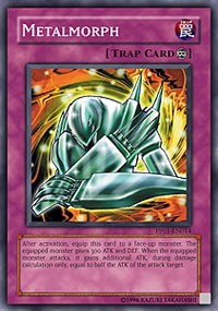Metalmorph #PP01-EN014