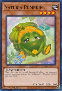 Naturia Pumpkin #HAC1-EN117