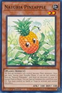 Naturia Pineapple #HAC1-EN118
