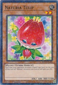 Naturia Tulip (Duel Terminal) #HAC1-EN104