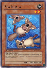 Sea Koala #PTDN-EN037