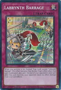 Labrynth Barrage #TAMA-EN025