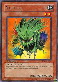 Nettles #CSOC-EN024