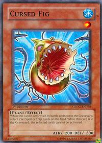 Cursed Fig #CSOC-EN028