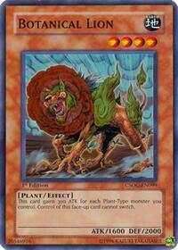 Botanical Lion #CSOC-EN099