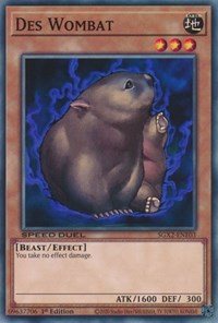 Des Wombat #SGX2-ENE03
