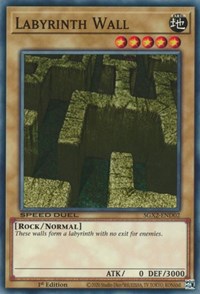 Labyrinth Wall #SGX2-END02
